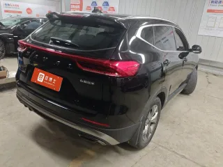 Haval H6 2022 — фото 3 из 8