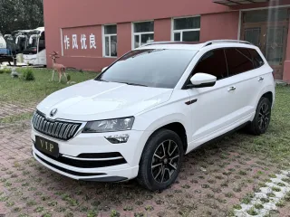 Skoda Karoq 2022 — фото 1 из 10