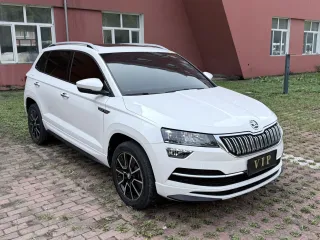 Skoda Karoq 2022 — фото 5 из 10