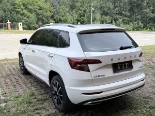 Skoda Karoq 2022 — фото 7 из 10