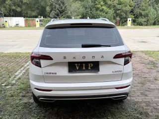 Skoda Karoq 2022 — фото 9 из 10
