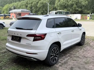 Skoda Karoq 2022 — фото 10 из 10
