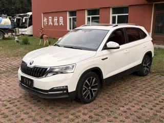 Skoda Kamiq 2022 — фото автомобиля из Китая
