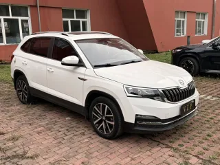 Skoda Kamiq 2022 — фото 5 из 10