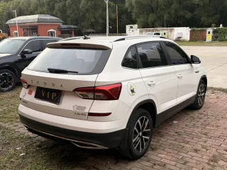 Skoda Kamiq 2022 — фото 10 из 10