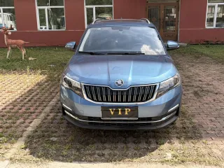 Skoda Kamiq 2022 — фото 3 из 10