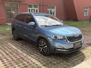 Skoda Kamiq 2022 — фото 5 из 10