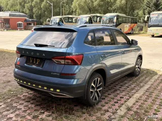 Skoda Kamiq 2022 — фото 10 из 10