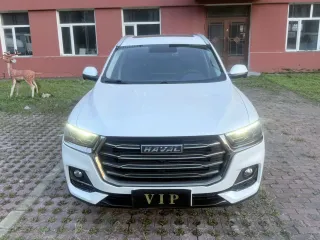 Haval H6 2022 — фото 3 из 10