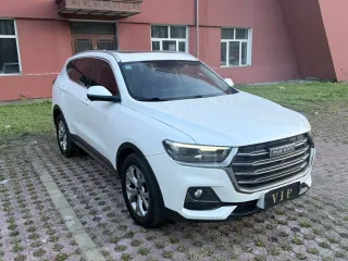 Haval H6 2022 — фото 5 из 10