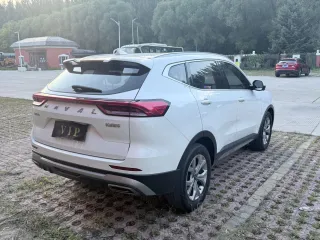 Haval H6 2022 — фото 10 из 10