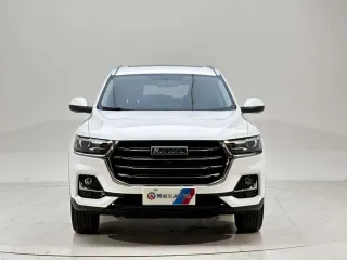 Haval H6 2022 — фото 3 из 20