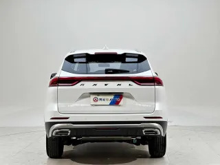 Haval H6 2022 — фото 4 из 20