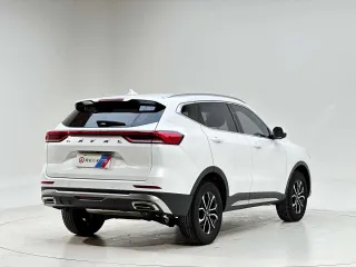 Haval H6 2022 — фото 5 из 20