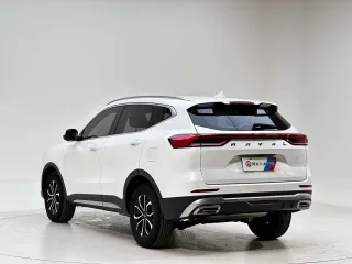 Haval H6 2022 — фото 6 из 20