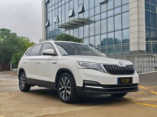 Skoda Kamiq 2022 — фото 2 из 24