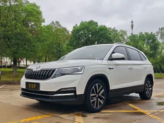 Skoda Kamiq 2022 — фото 21 из 24
