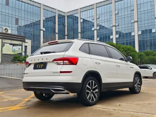 Skoda Kamiq 2022 — фото 18 из 24