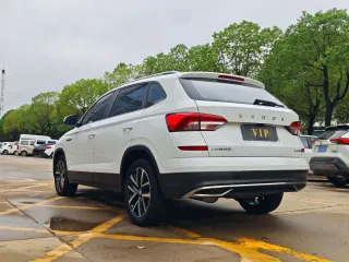 Skoda Kamiq 2022 — фото 16 из 24