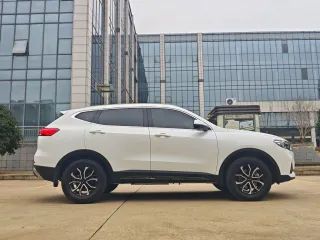 Haval H6 2023 — фото 4 из 13