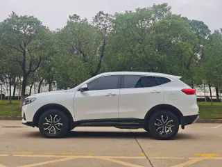Haval H6 2023 — фото 8 из 13