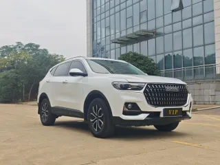Haval H6 2023 — фото 3 из 13