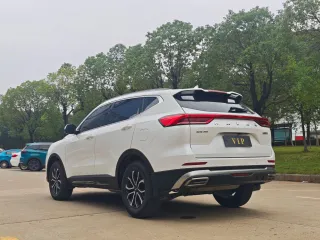 Haval H6 2023 — фото 7 из 13