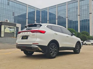 Haval H6 2023 — фото 5 из 13