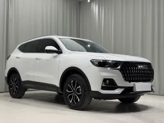 Haval H6 2023 — фото 3 из 28