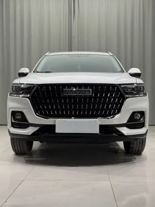 Haval H6 2023 — фото 24 из 28