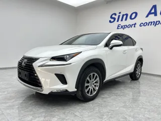 Lexus NX200 2021 — фото автомобиля из Китая