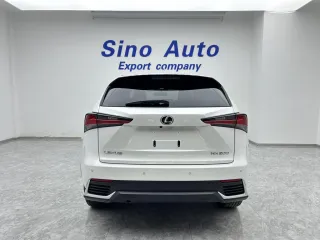 Lexus NX200 2021 — фото 24 из 45
