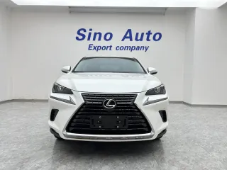 Lexus NX200 2021 — фото 22 из 45