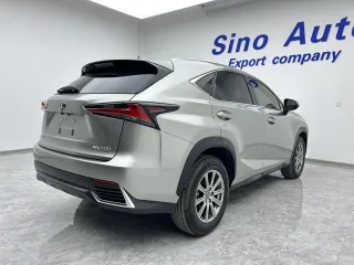 Lexus NX 2021 — фото 5 из 26