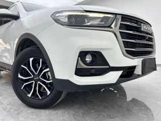 Haval H6 2022 — фото 10 из 28