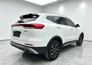 Haval H6 2022 — фото 5 из 28