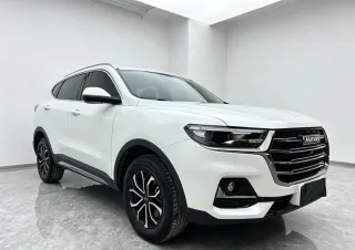 Haval H6 2022 — фото 3 из 28