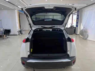 Peugeot 2008 2022 — фото 28 из 31