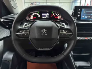 Peugeot 2008.0 2023 — фото 6 из 7